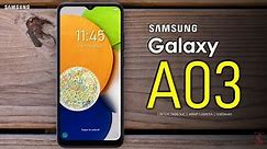 Samsung Galaxy A03 Price, Official Look, Design, Camera, Specifications, Features