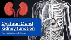 Cystatin C and kidney function in muscular people
