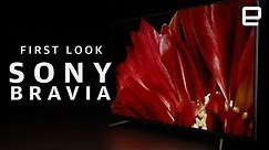 Sony Bravia Master Series 4K TV First Look