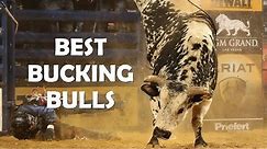 Best Bucking Bulls Ever