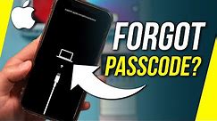Forgot your iPhone Passcode? Try this