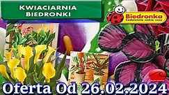 𝐁𝐈𝐄𝐃𝐑𝐎𝐍𝐊𝐀 🐞 Kwiaciarnia Biedronki Nowa Oferta Od 26.02.2024 | Kwiatowe Inspiracje Biedronki