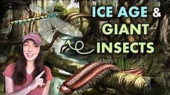 Carboniferous Climate & the Ice Age & Giant Insects that Resulted | GEO GIRL