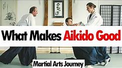 What's Useful in Aikido • Martial Arts Journey