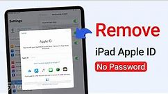 [Top 2] How to Remove Apple ID from iPad without Password (iPadOS 16&17)