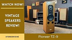Vintage Pioneer Speakers TZ9