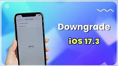 [No Data Loss] How to Downgrade iOS 17.3 to iOS 17.2
