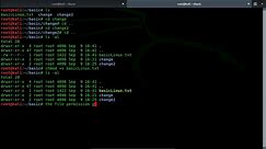Basic Kali Linux Commands Tutorial - video Dailymotion