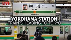 Yokohama Station Trains to Tokyo (Transfer Adventure)