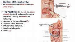 Anatomy of the Oral Cavity (Mouth, Tongue, and Palate) - Dr. Ahmed Farid
