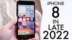 iPhone 8 In LATE 2022! (Review)