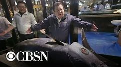 Bluefin tuna sells for a record $3.1M in Tokyo auction
