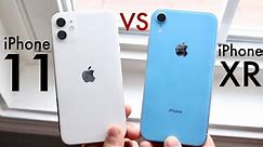 iPhone 11 Vs iPhone XR! (Comparison) (Review)