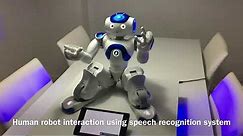 NAO Robot Humanoid - Python Robotics Game