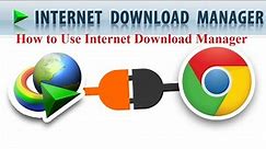 How to Download Files Using Internet Download Manager (IDM)