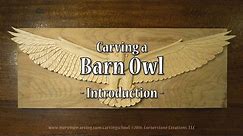 Carving a Barn Owl - Introduction