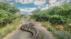 Biggest Anaconda Ever Found | In Real Life | All Parts