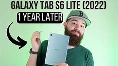 Samsung Galaxy Tab S6 Lite 2022 Review: One Year Later