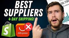 AliExpress Alternatives: Discover the Best Dropshipping Suppliers Today!