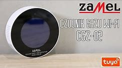 CGZ-02 czujnik gazu ziemnego i LPG Zamel Gardi