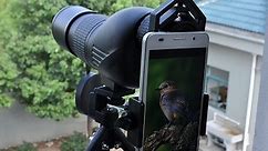 7 Best Phone Adapter Mounts for Spotting Scopes in 2024 - Reviews & Top Picks - Optics Mag