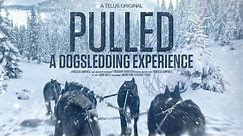Pulled - A Dog Sledding Experience