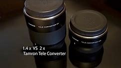Tamrons 1.4x vs 2x Teleconverter Pros and Cons.