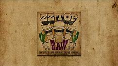ZZ Top - Gimme All Your Lovin [Official Audio]