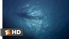 Jaws (1975) - Chrissie's Last Swim Scene (1/10) | Movieclips