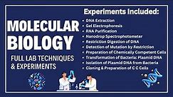 Molecular Biology Lab Techniques & Experiments | Full Molecular Lab Experiment & Protocols