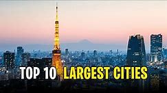 TOP 10 LARGEST CITIES IN THE WORLD