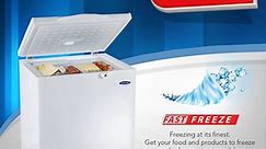 Fujidenzo Solid Top Chest Freezer | Willy & Sons