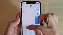 iOS 13 Feature: How to Search For Text in iMessage (It Works)