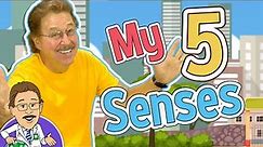 My 5 Senses | 5 Senses Song | Jack Hartmann