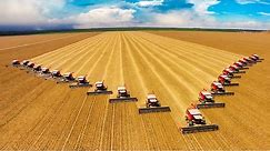 Largest Farms In The World RANKED!
