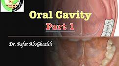 Oral Cavity - Part 1
