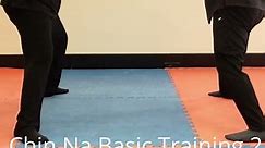 "Mastering the Fundamentals: Essential Chin Na Training for Martial Artists"Chin Na Basic 2 擒拿基础训练二