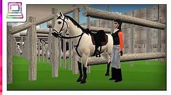 Horse Jumping Show 3D (Horse Game)