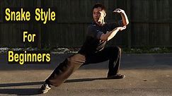 Shaolin Kung Fu Wushu Snake Style Basic Training For Beginners