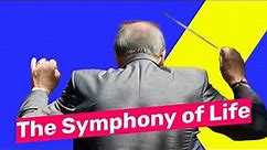 The Symphony of Life 🎵 Unraveling the Significance of Music
