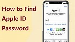 How to Find Apple ID Password? 4 Easy Ways