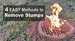 How to Remove Tree Stumps (4 EASY DIY Methods)