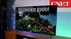 Best TV Under $300