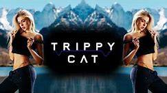 Trippy Cat Minimal Techno Session 2022 April