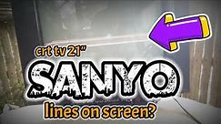 CRT-TV 21"/SANYO/LINES ON SCREEN?