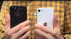 iPhone SE 2020 vs iPhone 8 Camera Comparison!