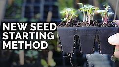 My NEW Favorite Seed Starting Method 🌱🌱🌱