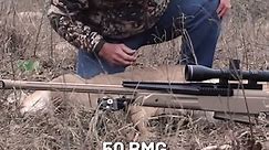 .50 BMG Hunt Whitetail Deer Hunting
