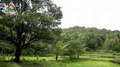 Aragu krushi | Lac Cultivation | Kadamba Foundation | Kannada