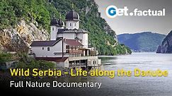Wild Serbia - Life Along The Danube | Full Nature Documentary